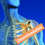 Comprehensive Evaluation and Management of Shoulder Dysfunction (Download)